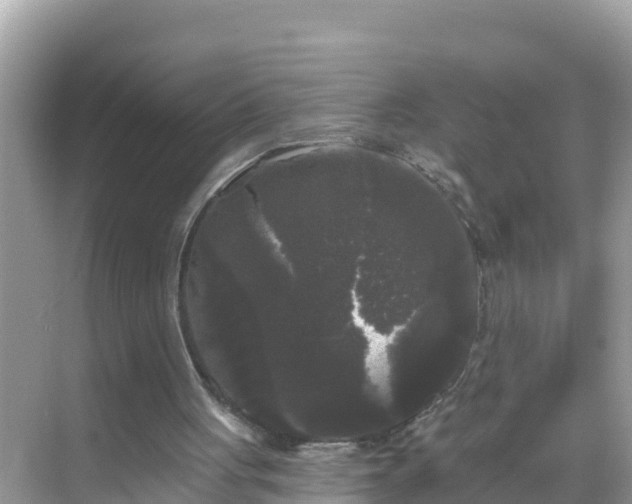 X0000068770051200605051642