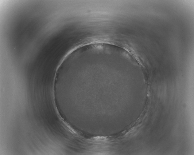 X0000068770052200605051642