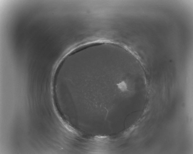 X0000068770055200605051642