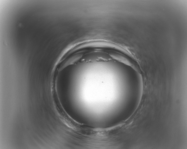 X0000068770056200605051642