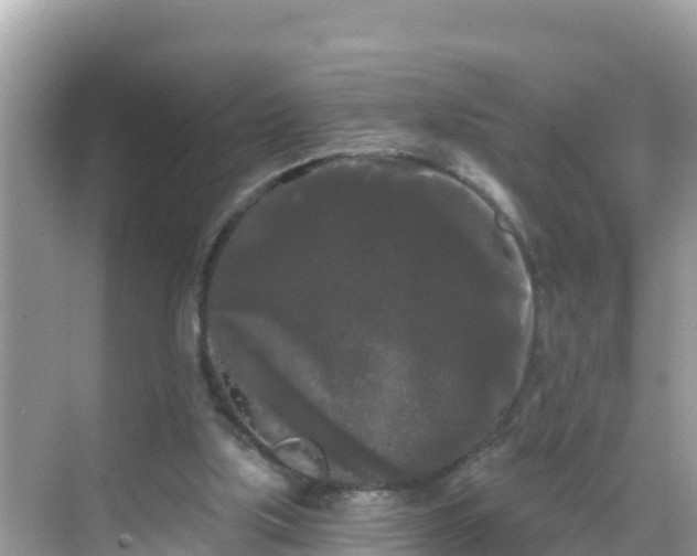 X0000068770059200605051642