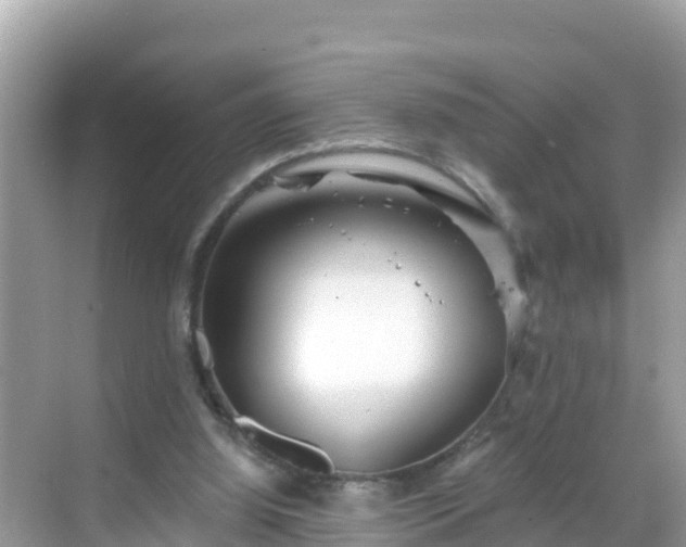 X0000068770060200605051642