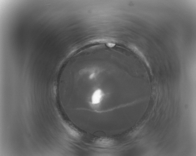 X0000068770063200605051642