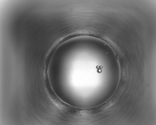 X0000068770064200605051642