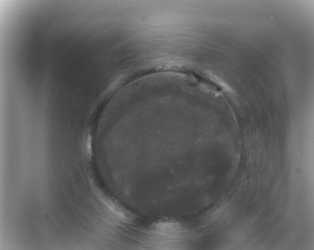 X0000068770067200605051642