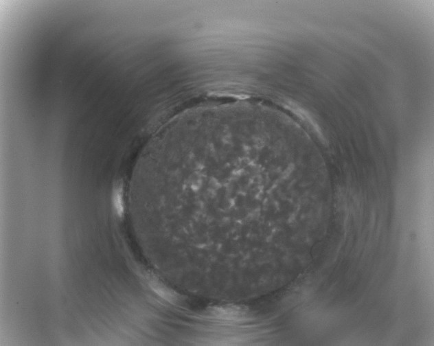 X0000068770069200605051642