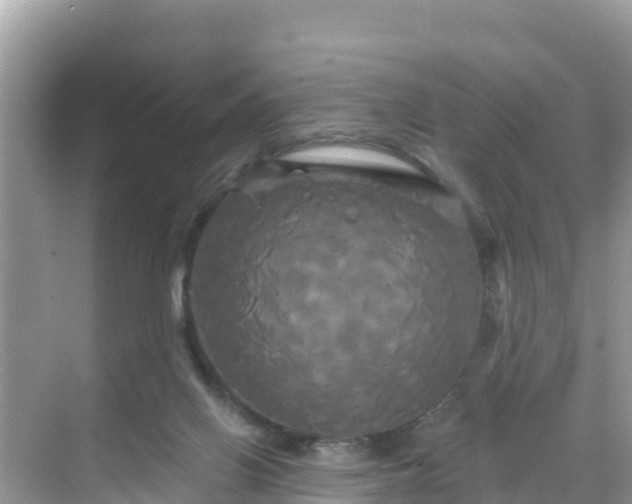 X0000068770070200605051642