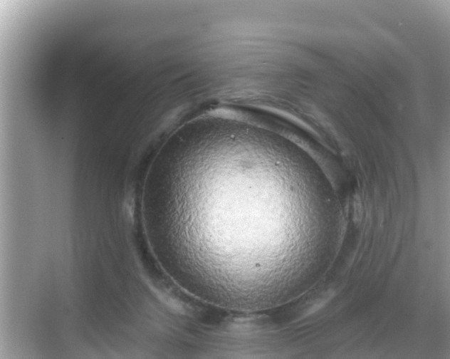 X0000068770072200605051642