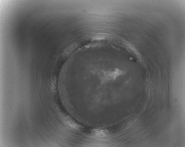 X0000068770073200605051642