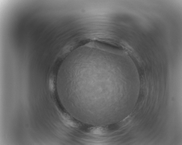 X0000068770074200605051642