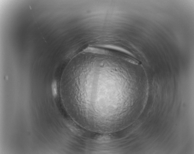 X0000068770075200605051642