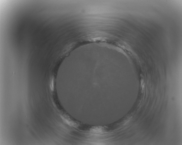 X0000068770076200605051642