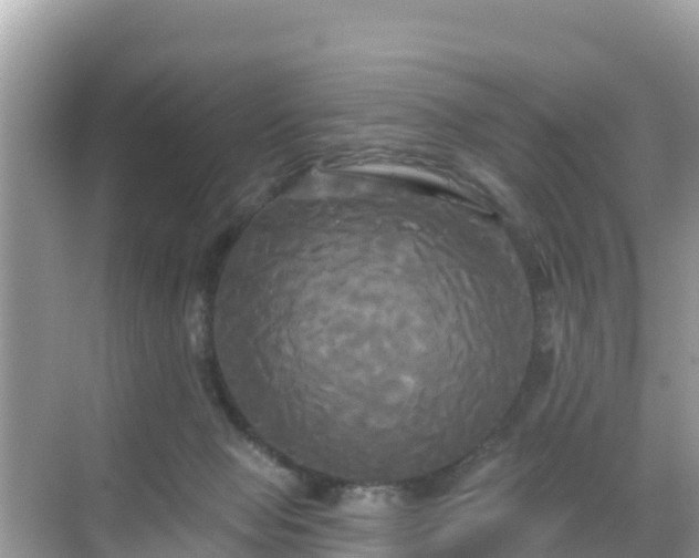 X0000068770077200605051642