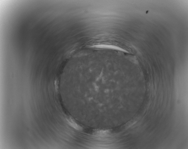 X0000068770081200605051642