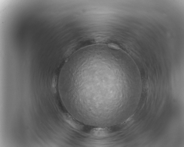 X0000068770082200605051642