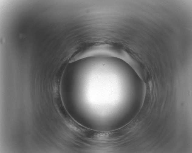 X0000068770084200605051642