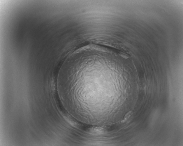 X0000068770086200605051643