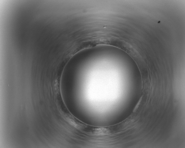 X0000068770087200605051643