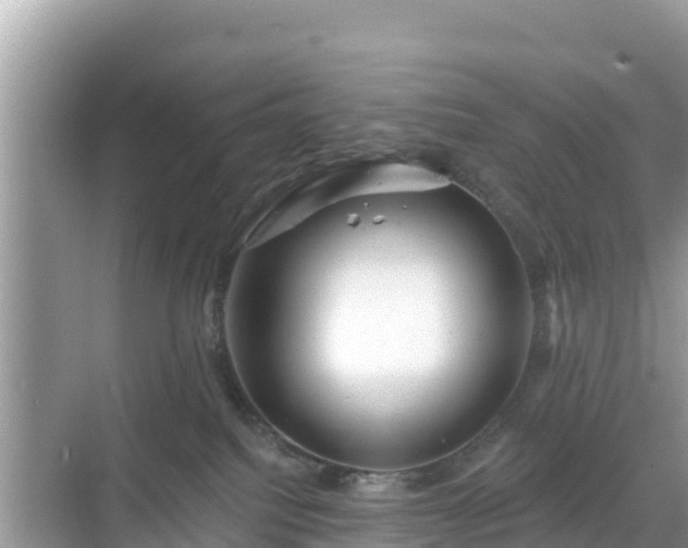 X0000068770088200605051643