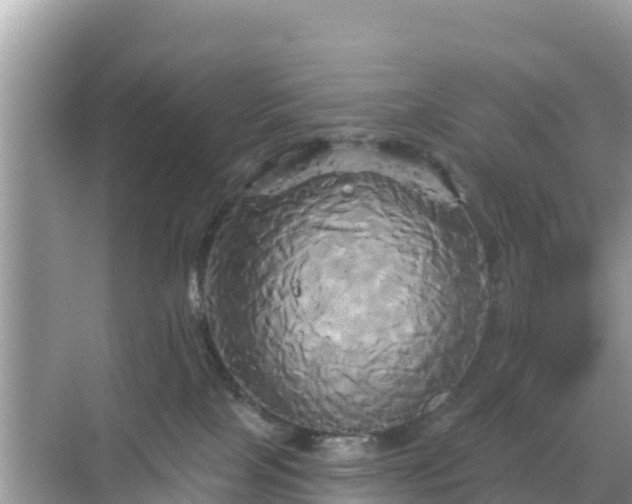 X0000068770089200605051643