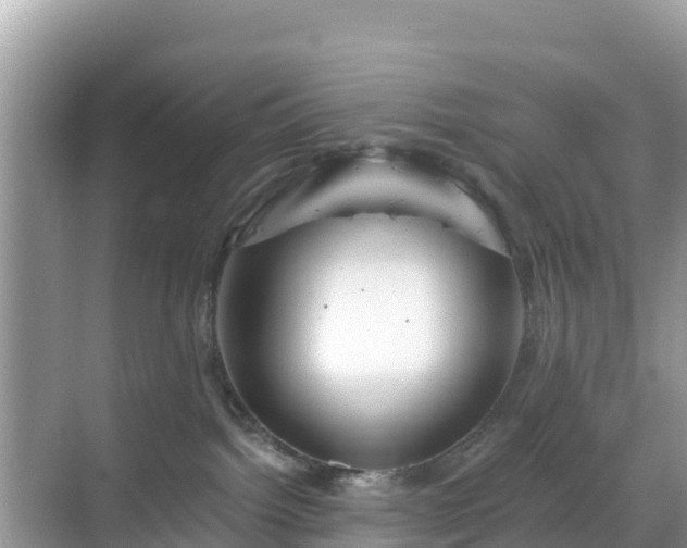 X0000068770092200605051643