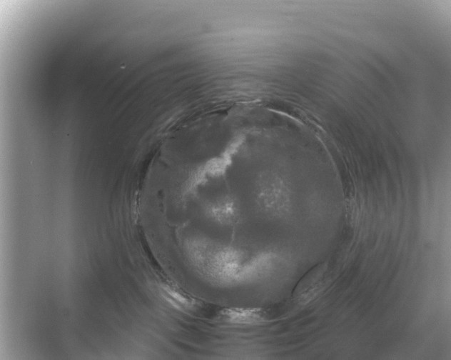 X0000068770093200605051643