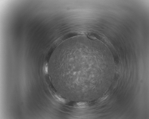 X0000068770095200605051643