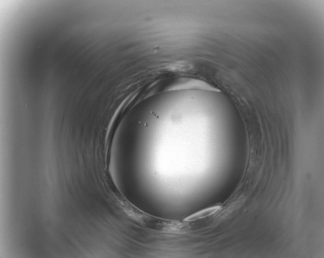 X0000068770096200605051643