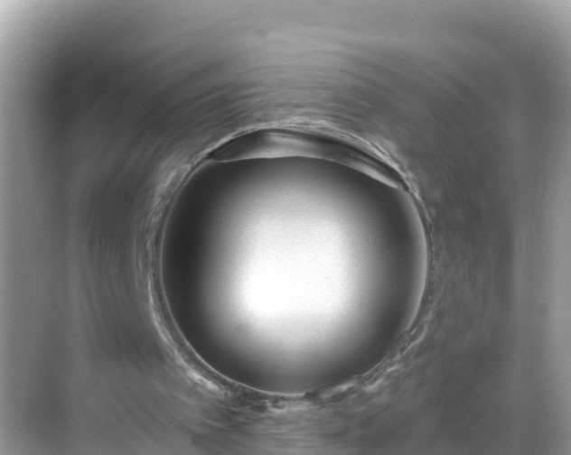 X0000068770097200605051642