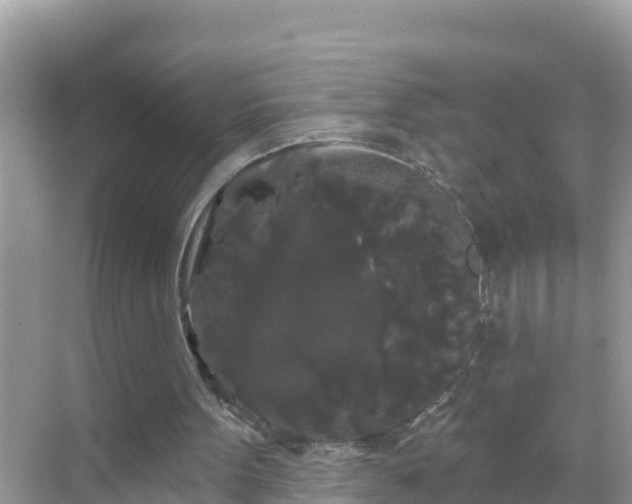 X0000068770099200605051642