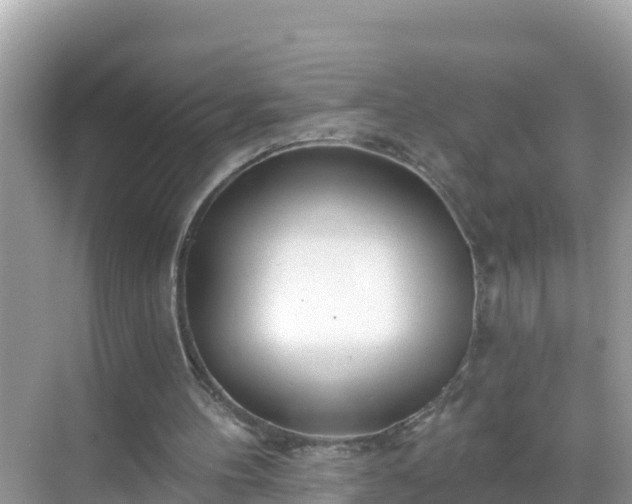 X0000068770100200605051642