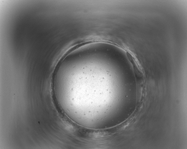 X0000068770103200605051642