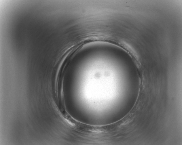 X0000068770105200605051642