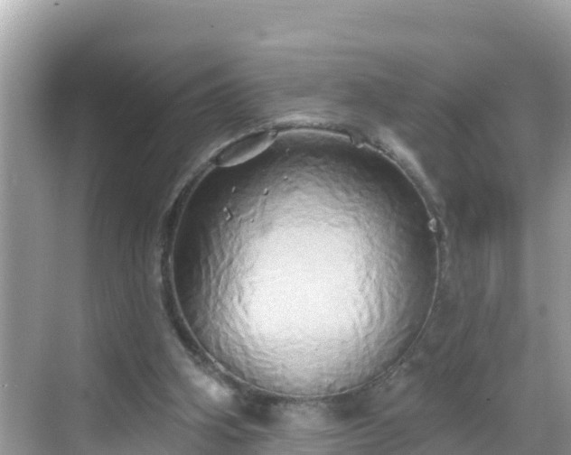 X0000068770106200605051642