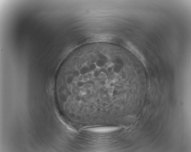 X0000068770107200605051642