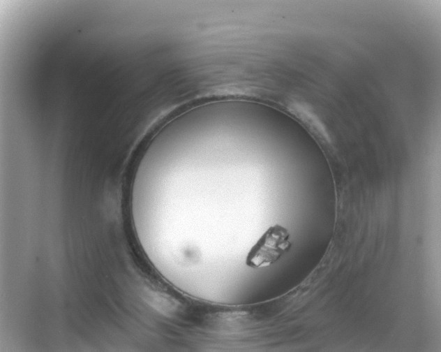 X0000068770108200605051642