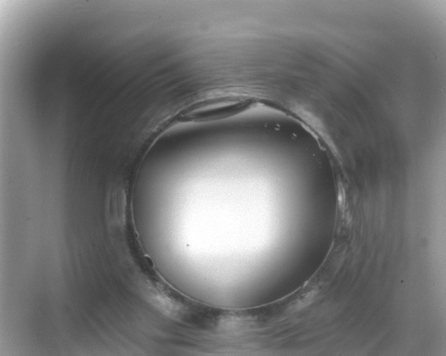 X0000068770109200605051642