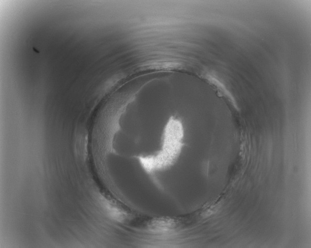 X0000068770110200605051642