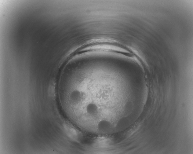 X0000068770111200605051642