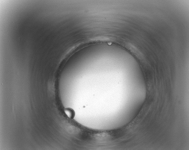 X0000068770112200605051642