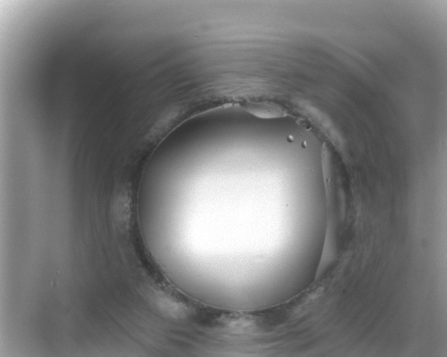 X0000068770113200605051642