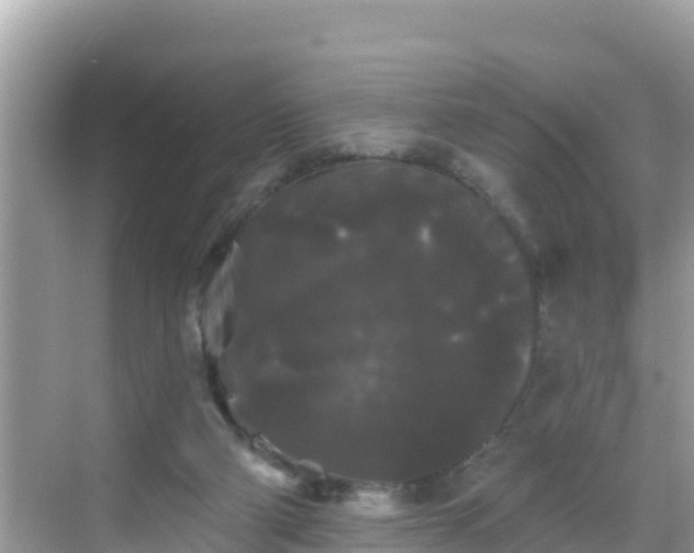 X0000068770114200605051642