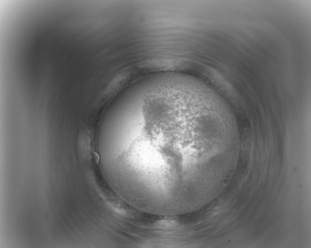 X0000068770119200605051642