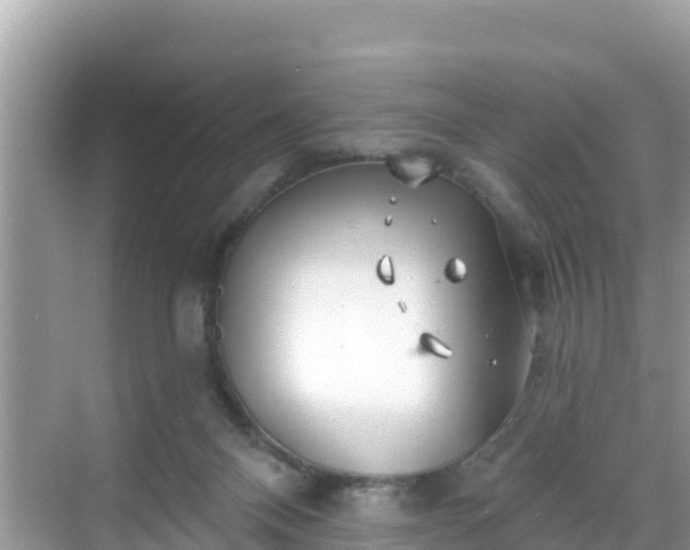 X0000068770120200605051642