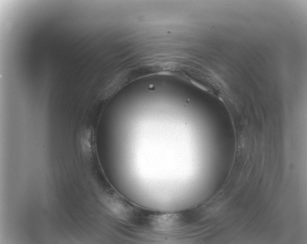 X0000068770122200605051641