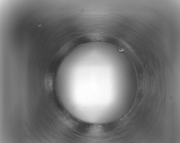 X0000068770124200605051641