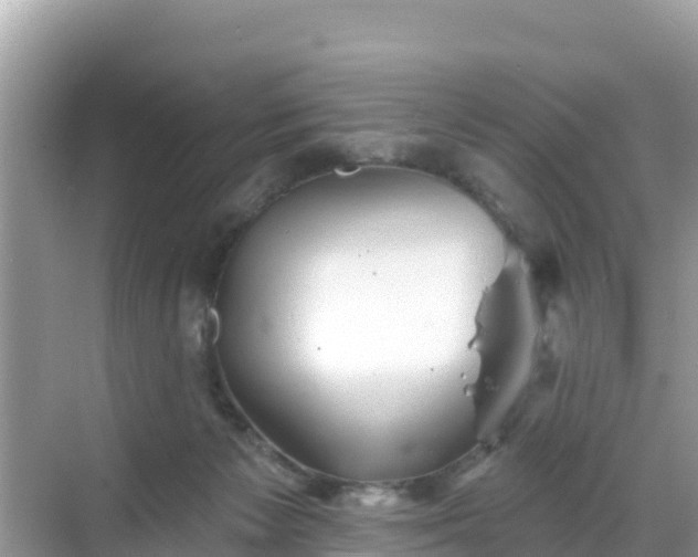 X0000068770125200605051641