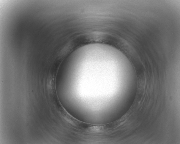 X0000068770126200605051641