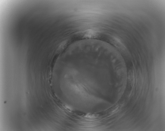 X0000068770127200605051641