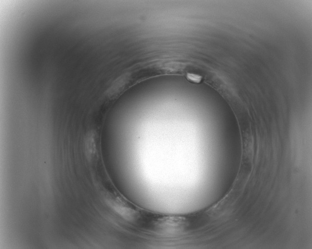 X0000068770128200605051641